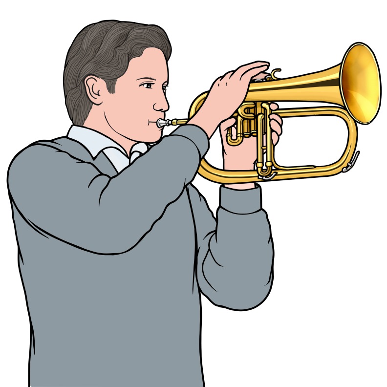 flugel horn