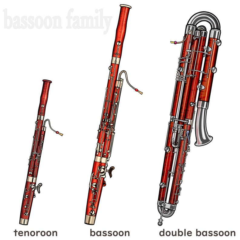 bassoon family