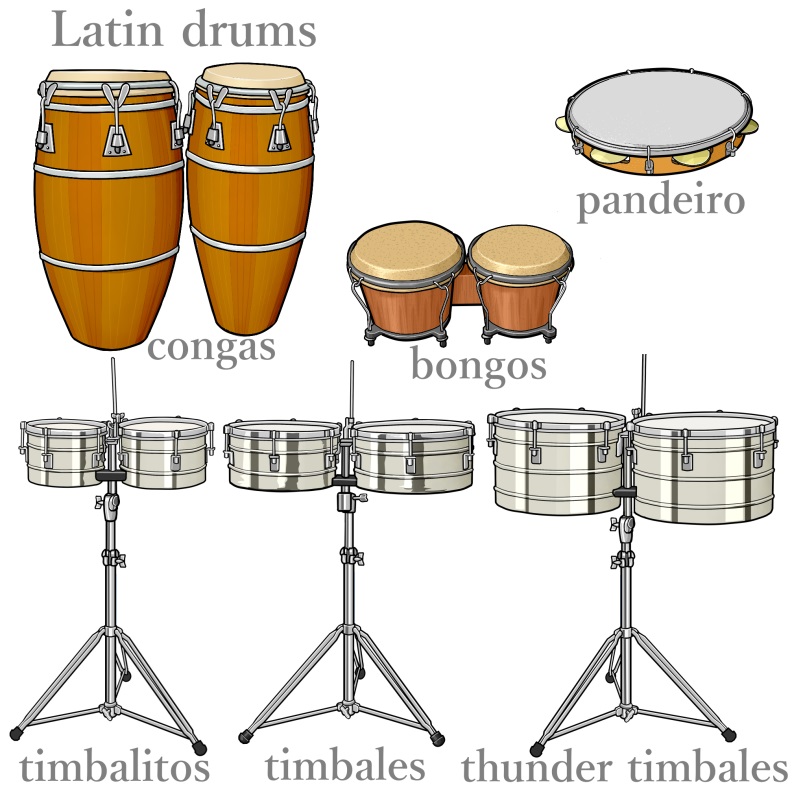 Latin Drums: Bongos/Congas/Pandeiro/Timbales/Timbalitos/Thunder Timbs