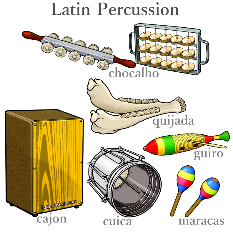 Latin Percussion: chocalho / cajon / Bongos / cuica / maracas/ quijada